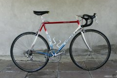 Gazelle AA-Special Frame