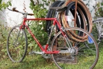 Image21