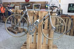 VeloWorld Schauff 2017